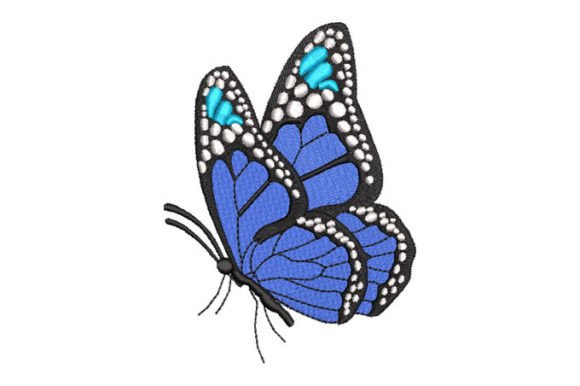 Black Butterfly with White Border Embroidery Review